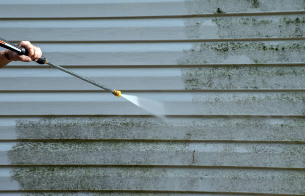 Professional Pressure Washing Services in Collegeville, PA